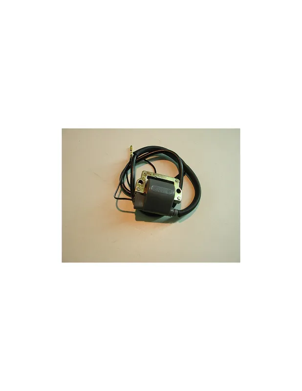 Bobine haute tension Universelle Livraison Express